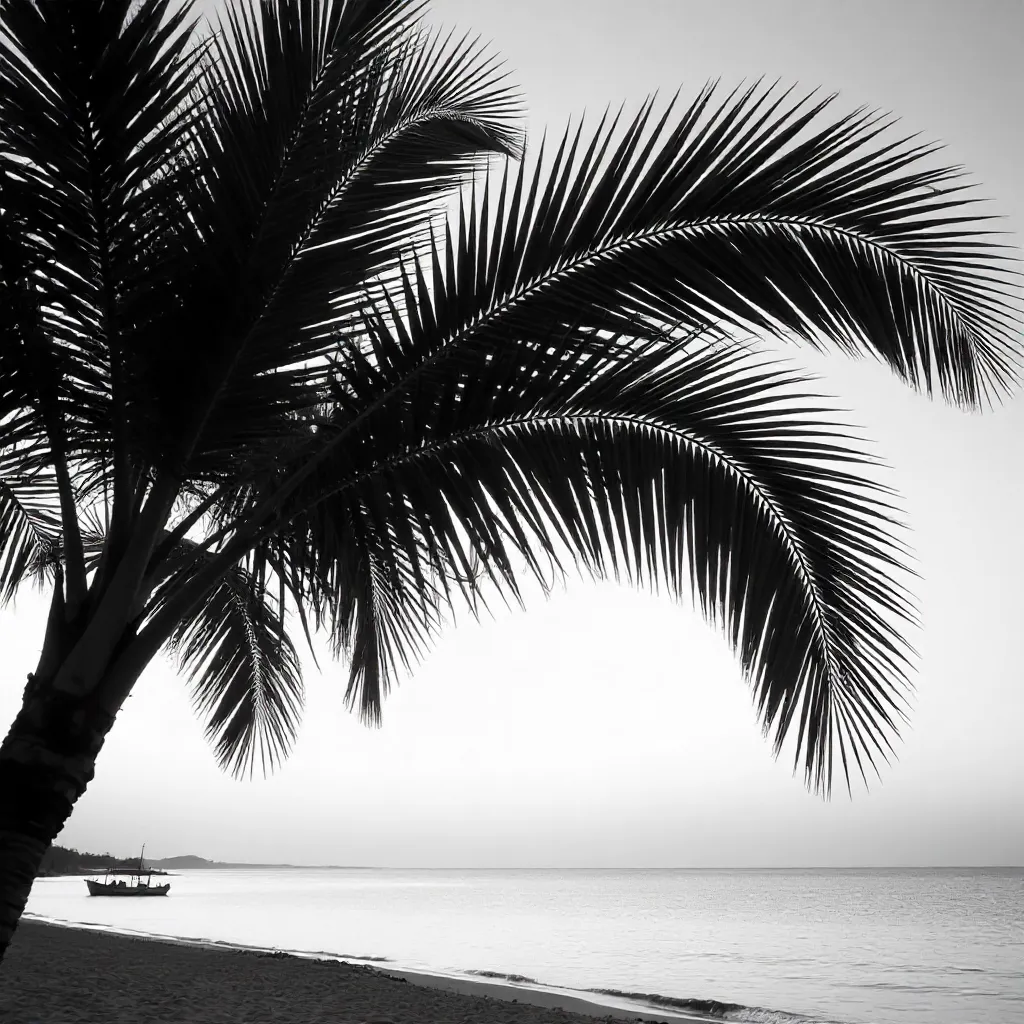 Porto Seguro Palm Silhouette in Black & White