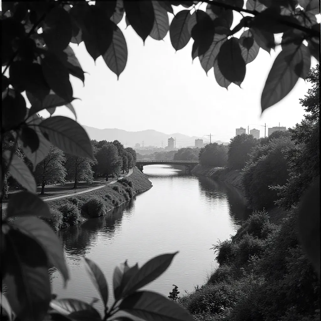 Monochrome River Through Leaf-Framed Cityscape