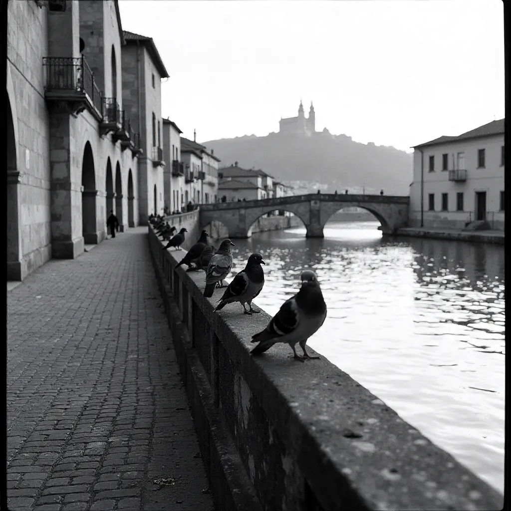 Monochrome Tomar Riverfront: Pigeons and Architecture