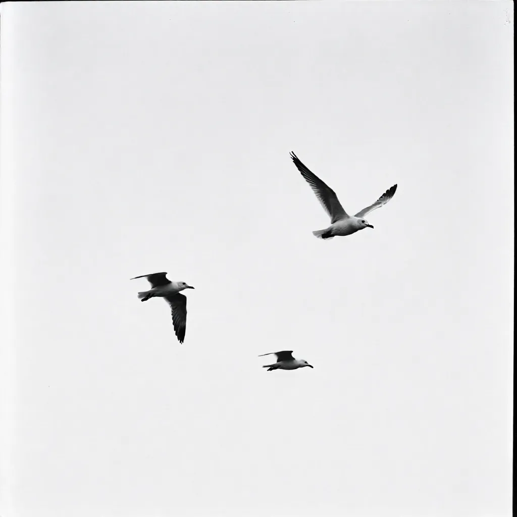 Monochrome Seagulls in a Minimalist Sky
