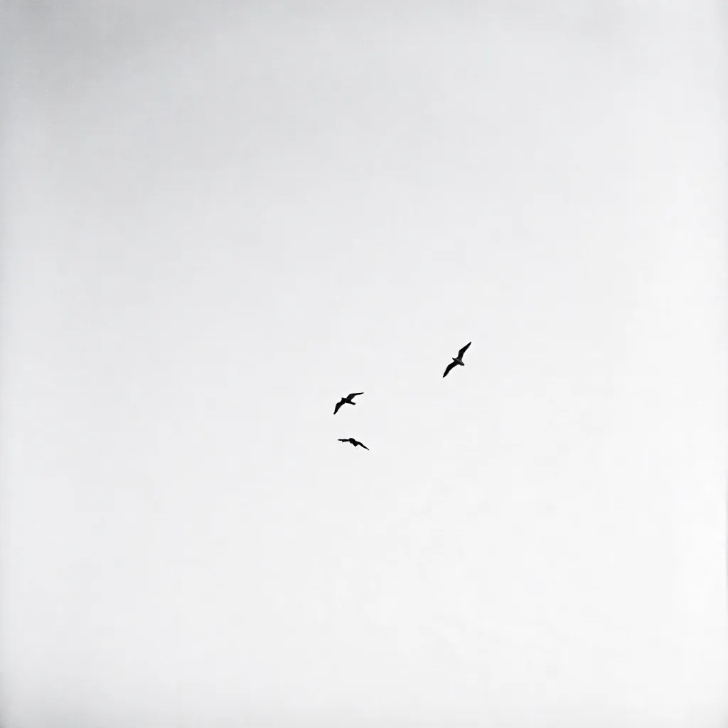 Minimalist Black and White Seagull Flight