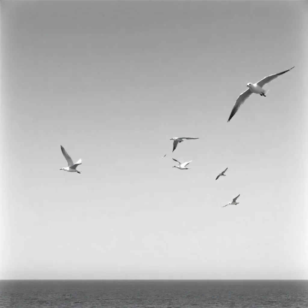 Minimalist Black and White Seagull Flight