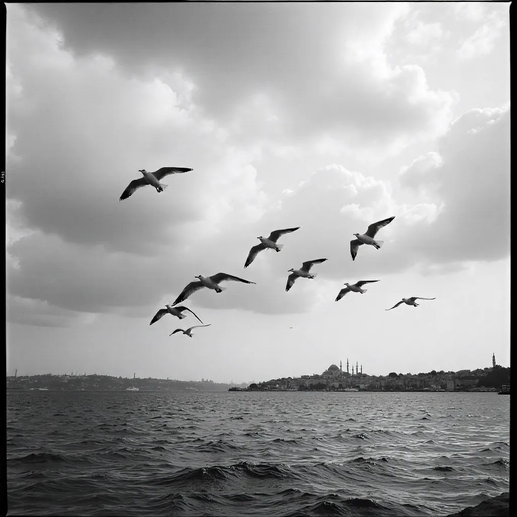 Monochrome Seagulls Over Istanbul's Cloudy Sky