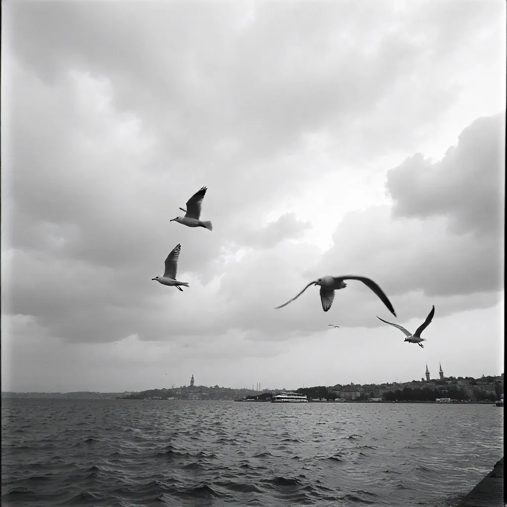 Seagulls over Istanbul in a Cloudy Black-and-White