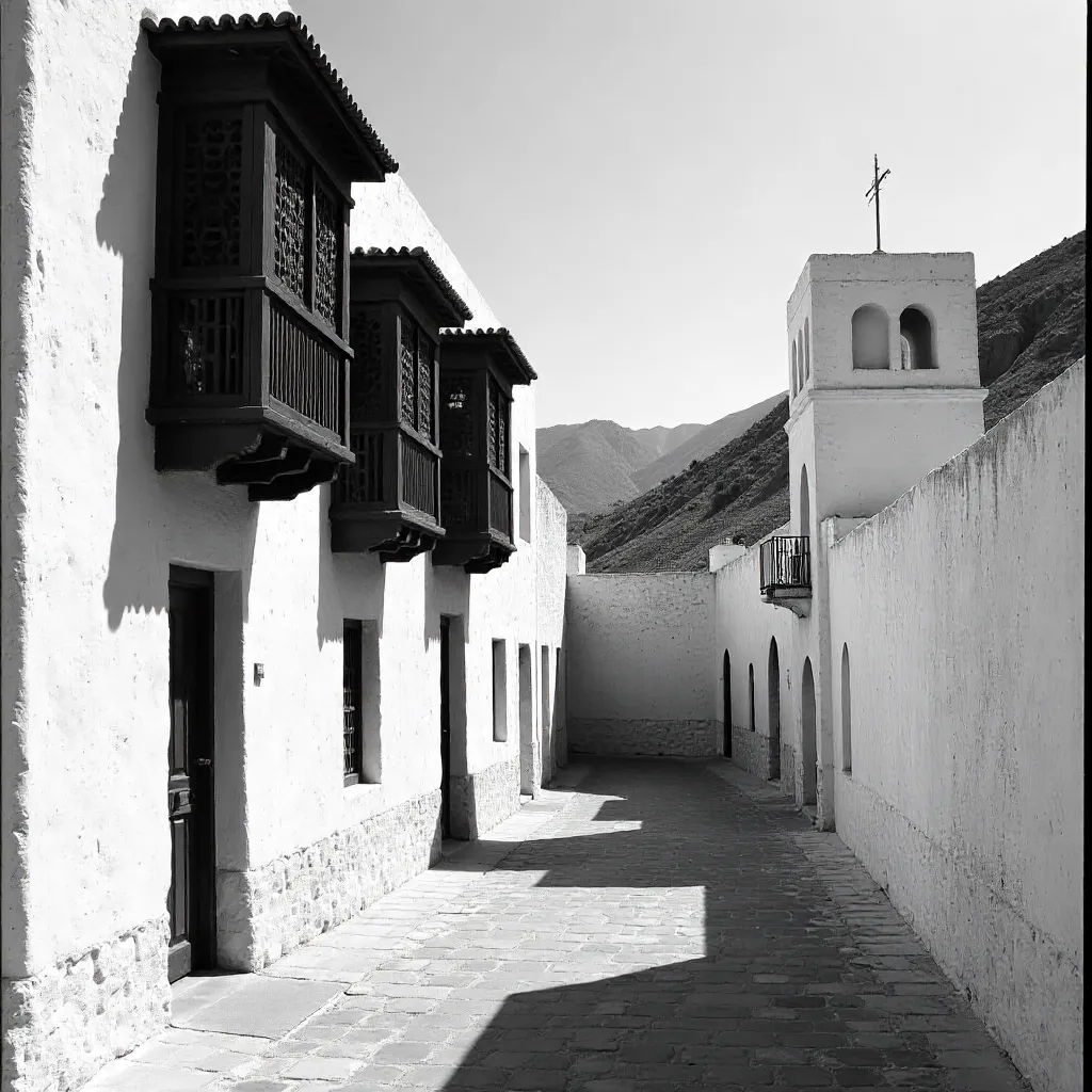 Monochrome Abha: Traditional Asir Architecture
