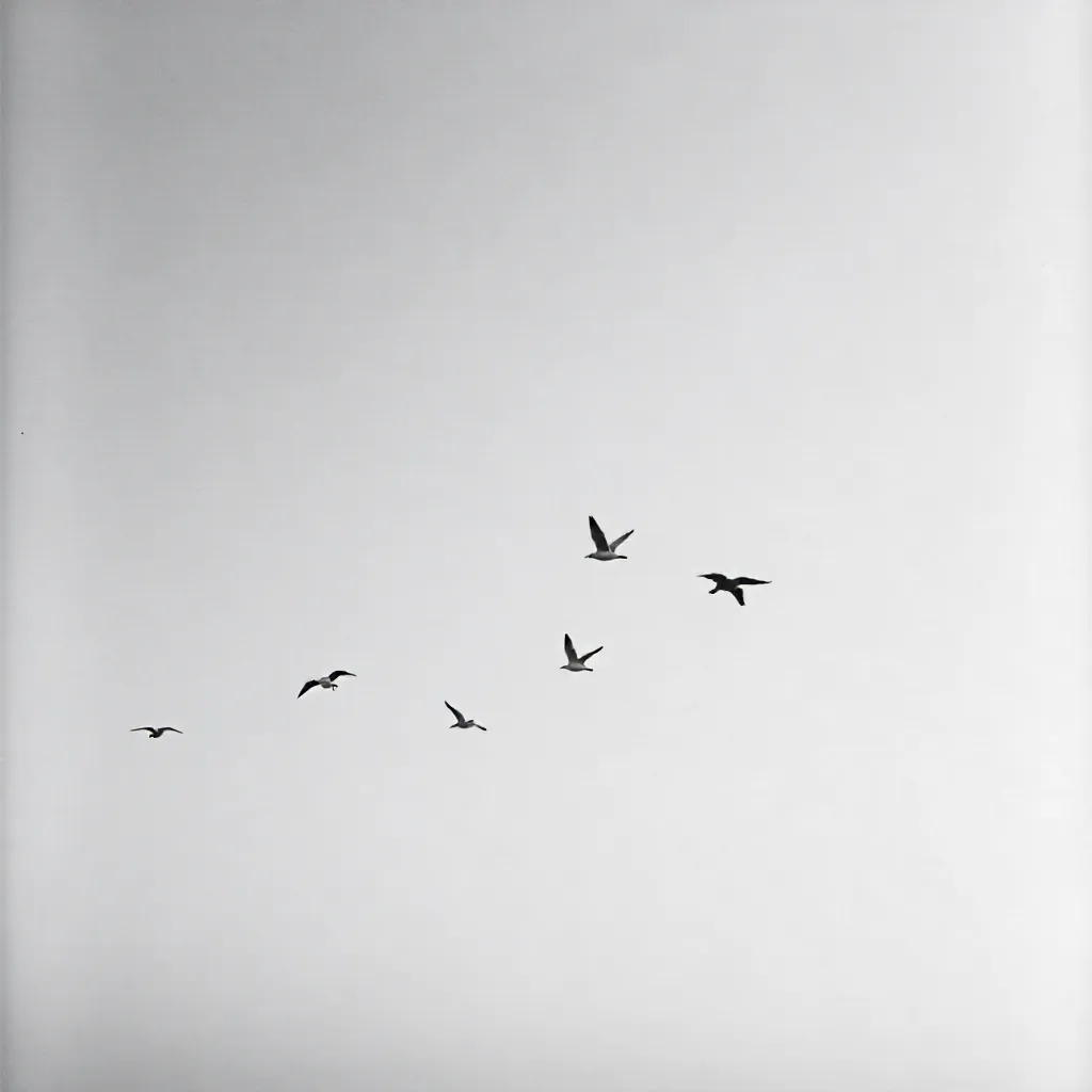 Minimalist Black-and-White Seagulls in Flight