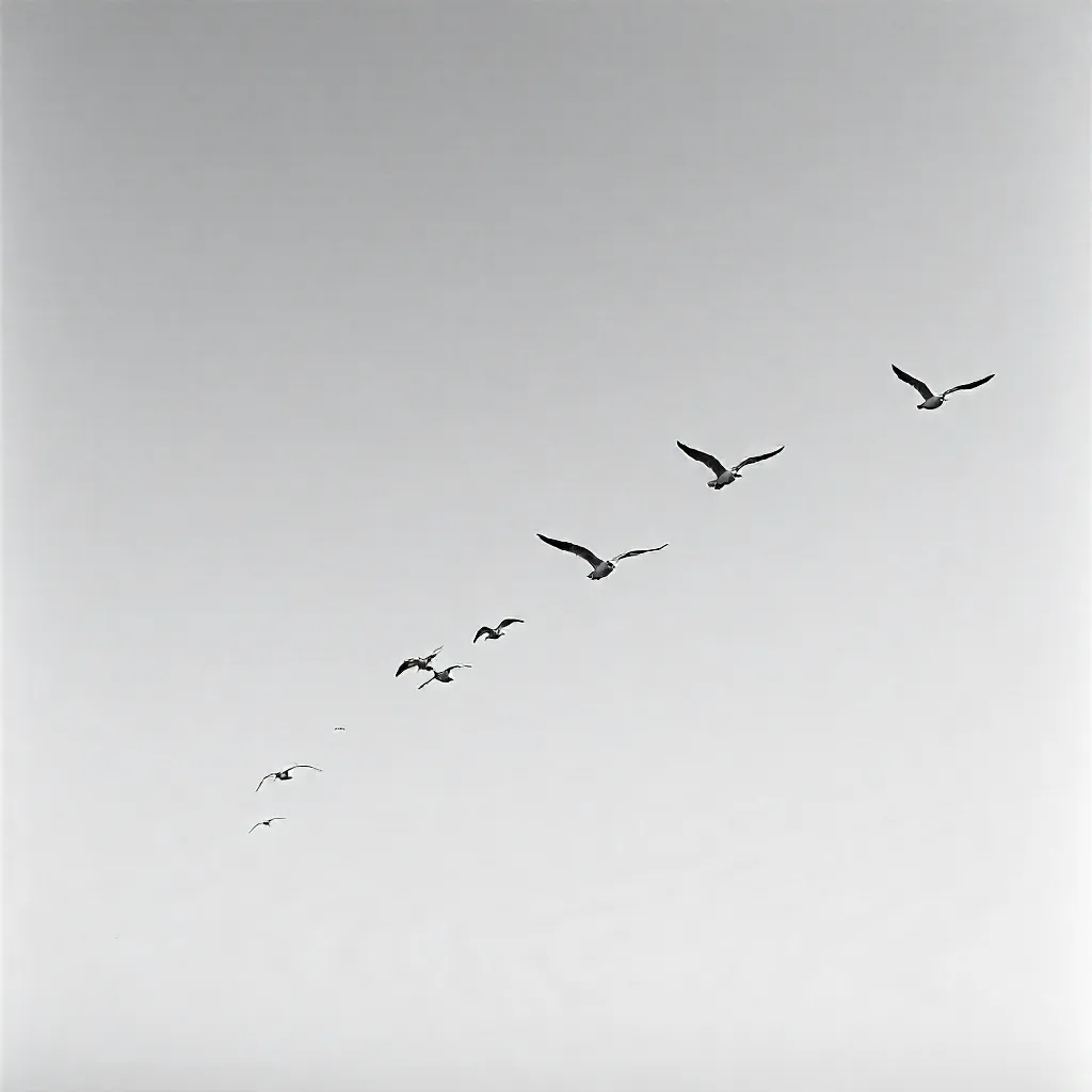 Minimalist Black-and-White Seagull Flight
