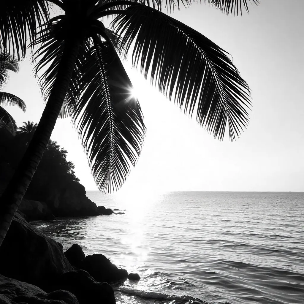 Porto Seguro Palm Leaves: Tranquil Monochrome Silhouette