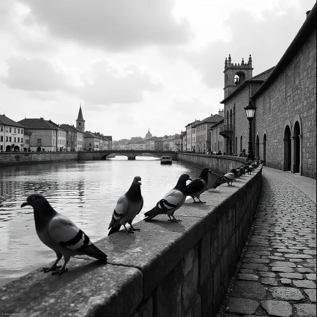 Tomar Riverfront in Black and White: Pigeons and Architecture