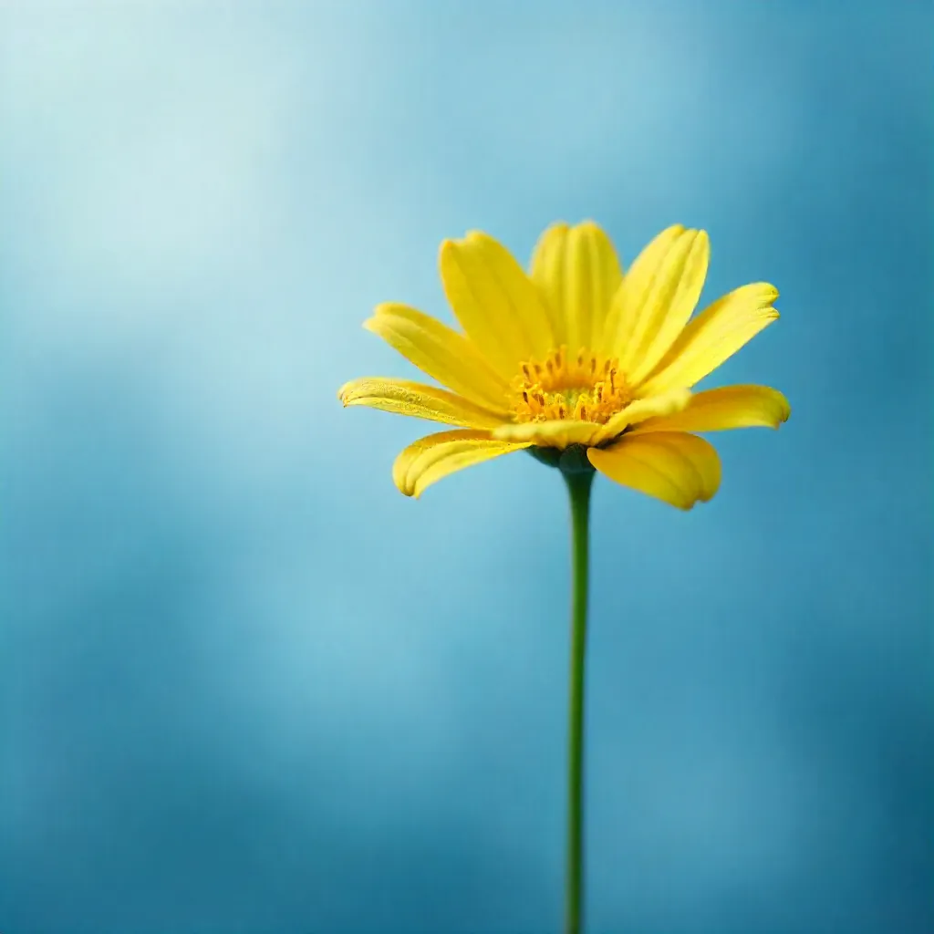 Lone Yellow Flower in Dreamy Blue Backdrop