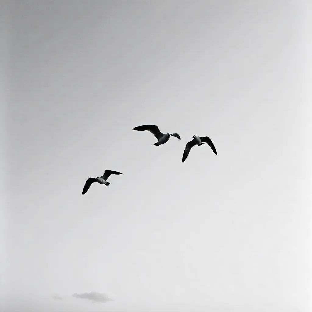 Seagulls in a Minimalist Monochrome Sky